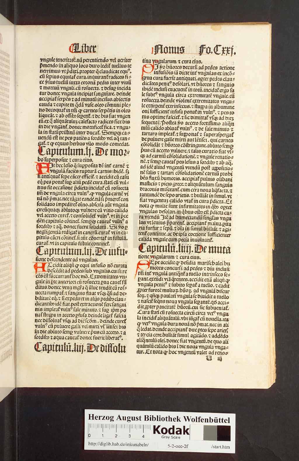 http://diglib.hab.de/inkunabeln/5-2-oec-2f/00245.jpg