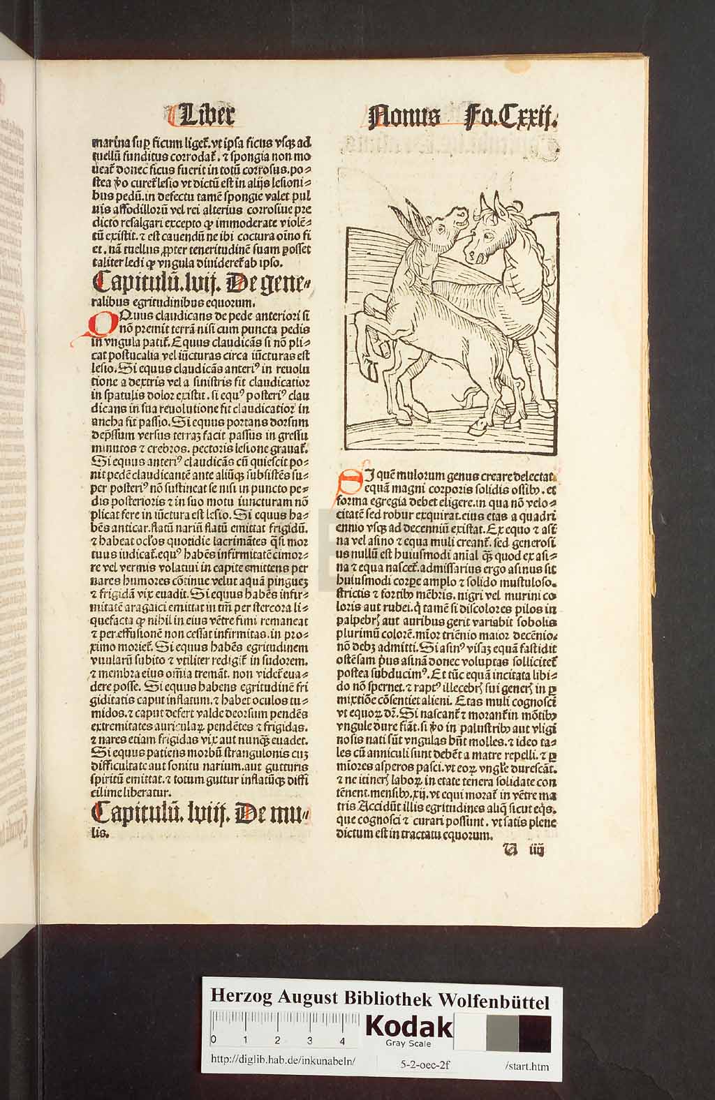 http://diglib.hab.de/inkunabeln/5-2-oec-2f/00247.jpg