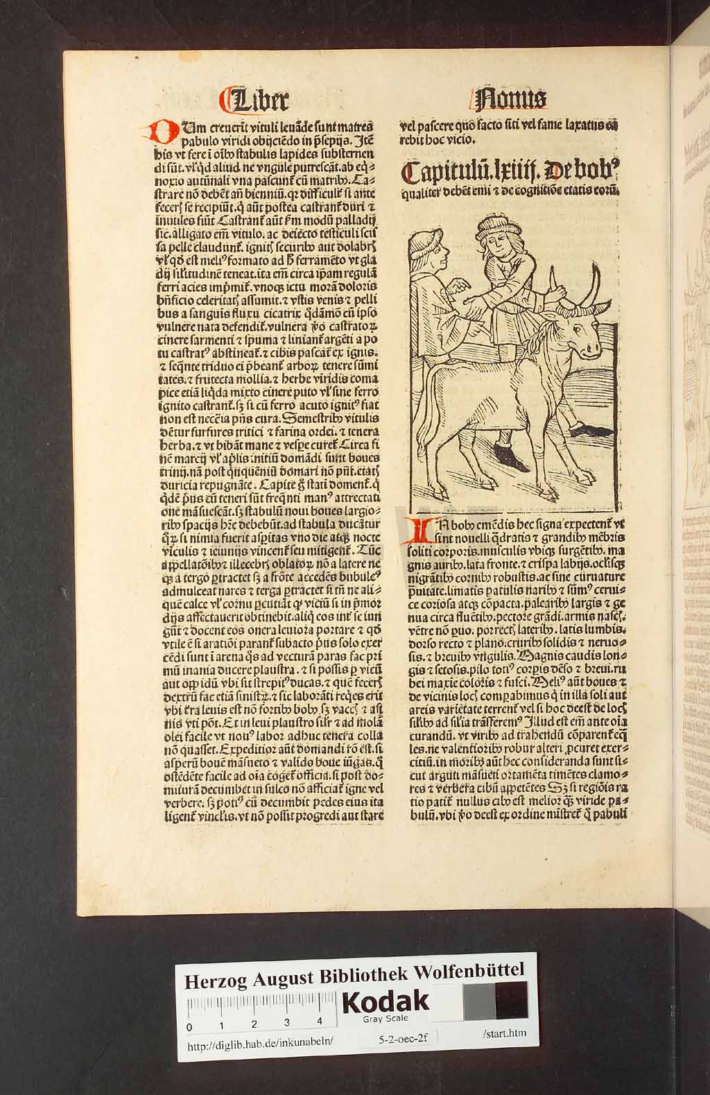 http://diglib.hab.de/inkunabeln/5-2-oec-2f/00250.jpg