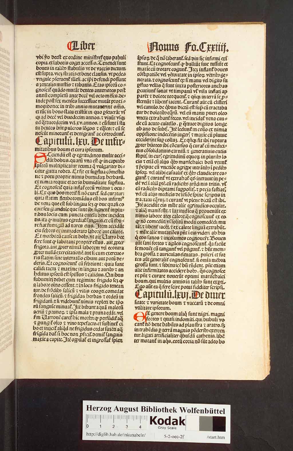 http://diglib.hab.de/inkunabeln/5-2-oec-2f/00251.jpg
