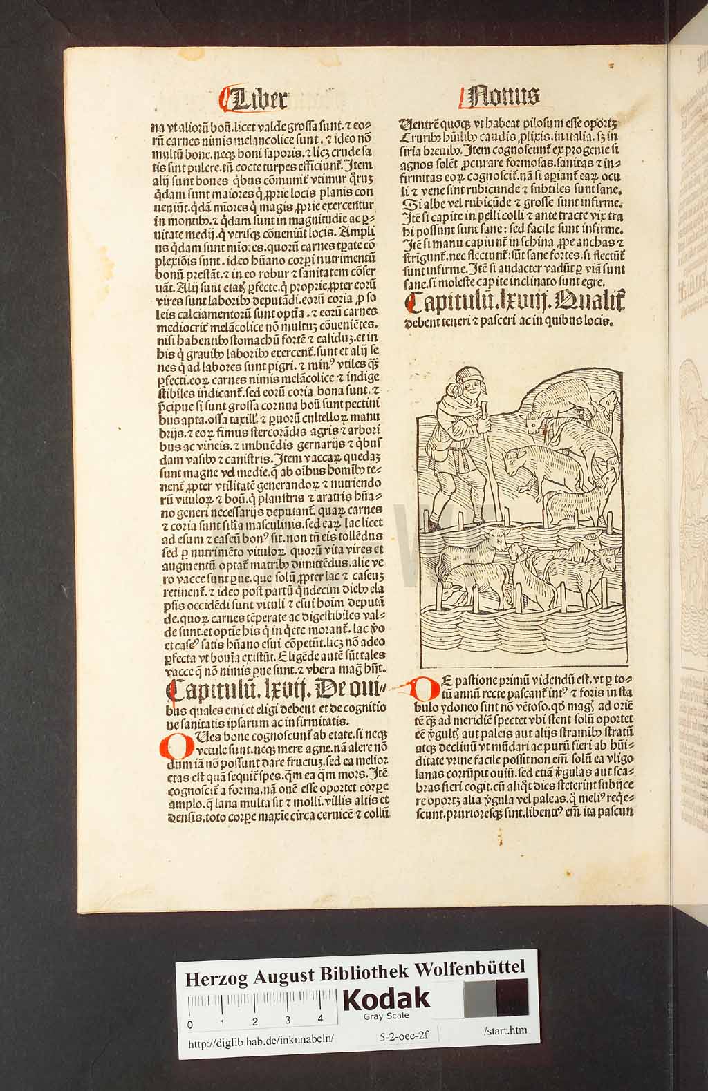 http://diglib.hab.de/inkunabeln/5-2-oec-2f/00252.jpg
