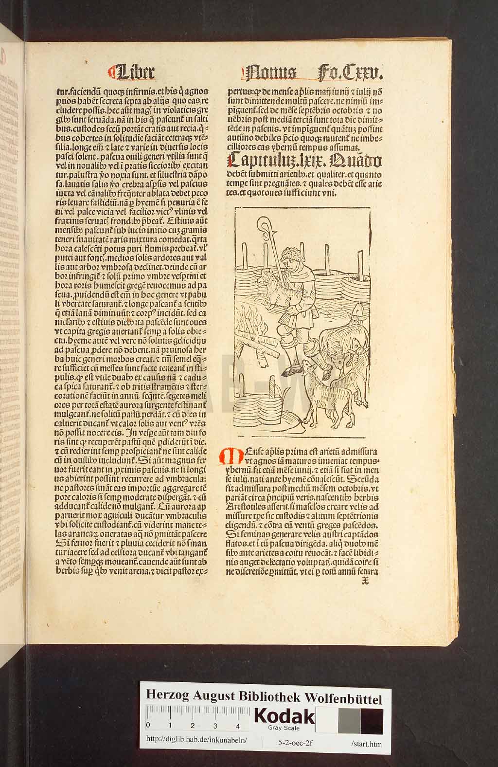 http://diglib.hab.de/inkunabeln/5-2-oec-2f/00253.jpg