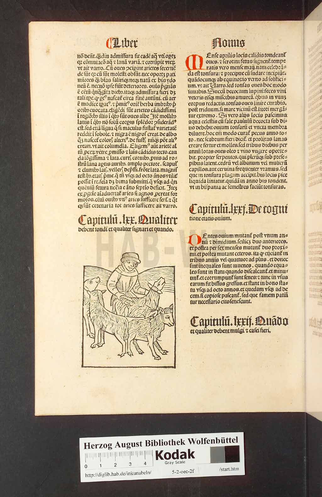 http://diglib.hab.de/inkunabeln/5-2-oec-2f/00254.jpg