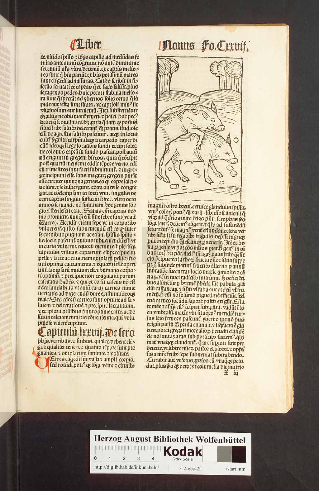 http://diglib.hab.de/inkunabeln/5-2-oec-2f/00257.jpg