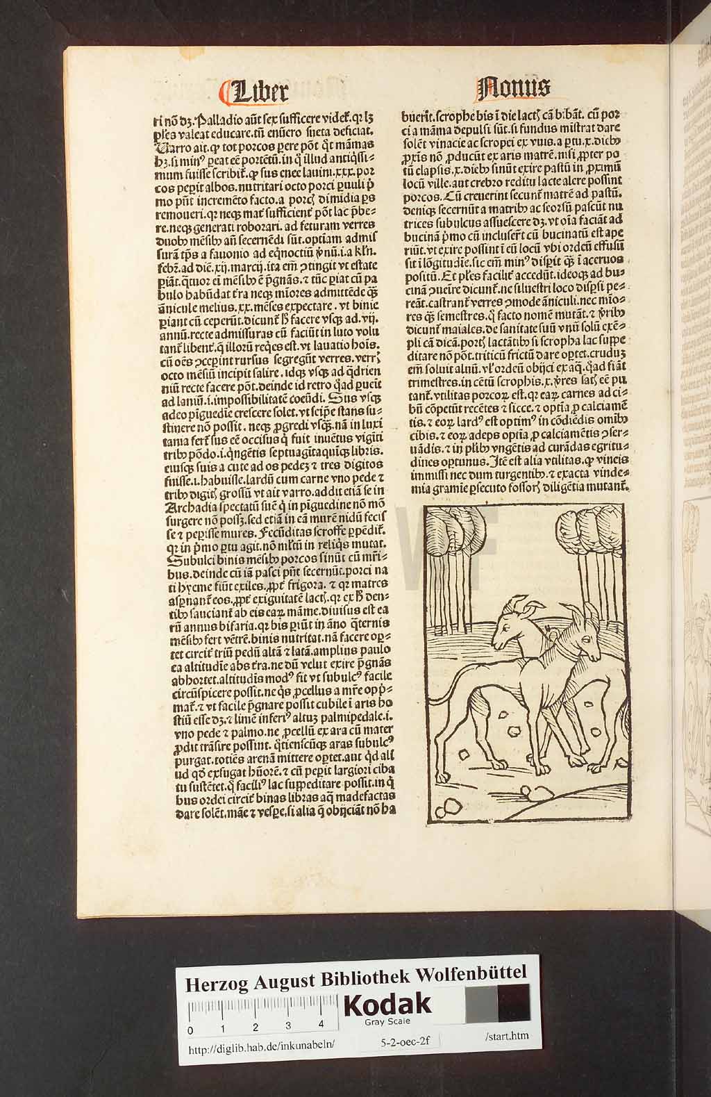http://diglib.hab.de/inkunabeln/5-2-oec-2f/00258.jpg