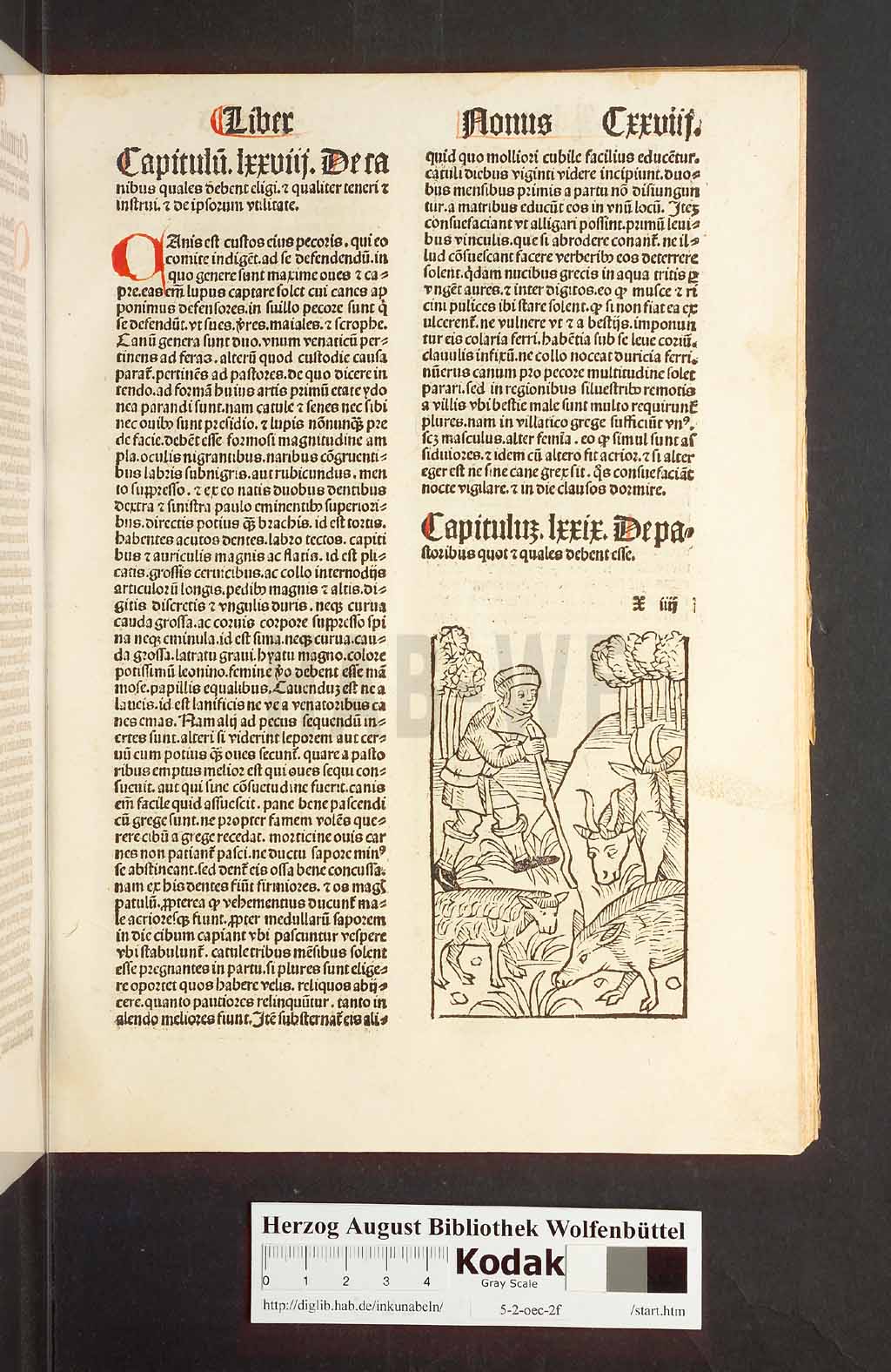 http://diglib.hab.de/inkunabeln/5-2-oec-2f/00259.jpg