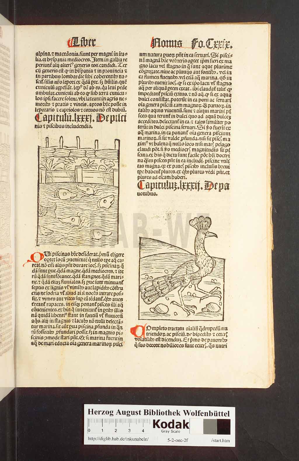 http://diglib.hab.de/inkunabeln/5-2-oec-2f/00261.jpg
