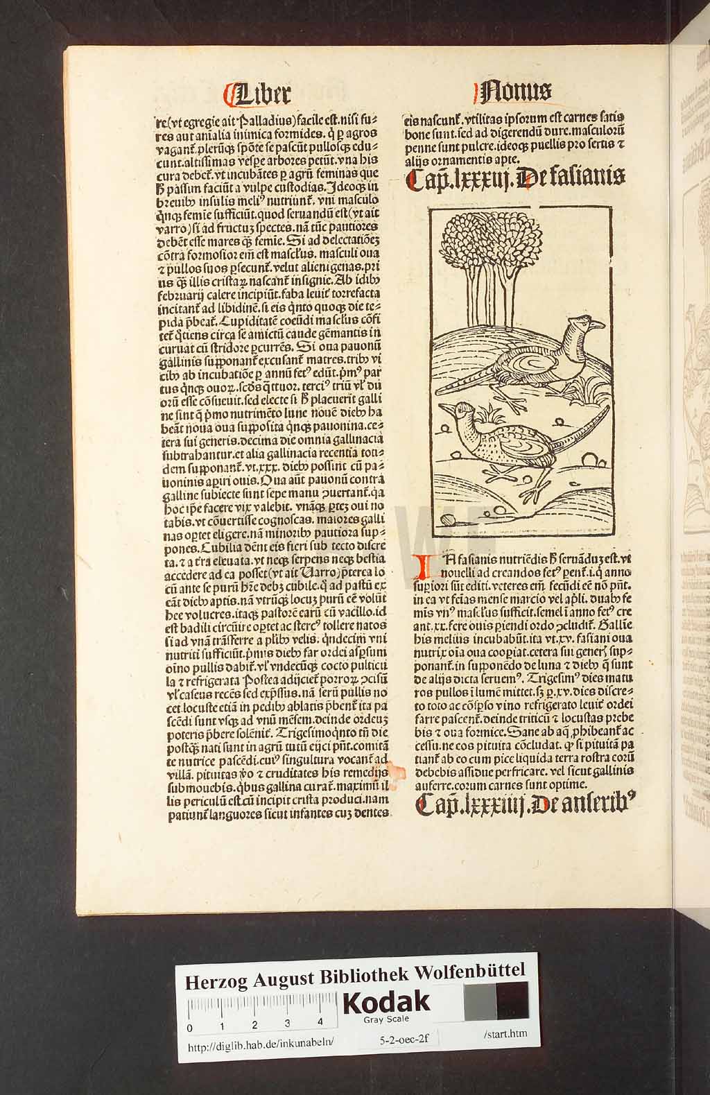 http://diglib.hab.de/inkunabeln/5-2-oec-2f/00262.jpg