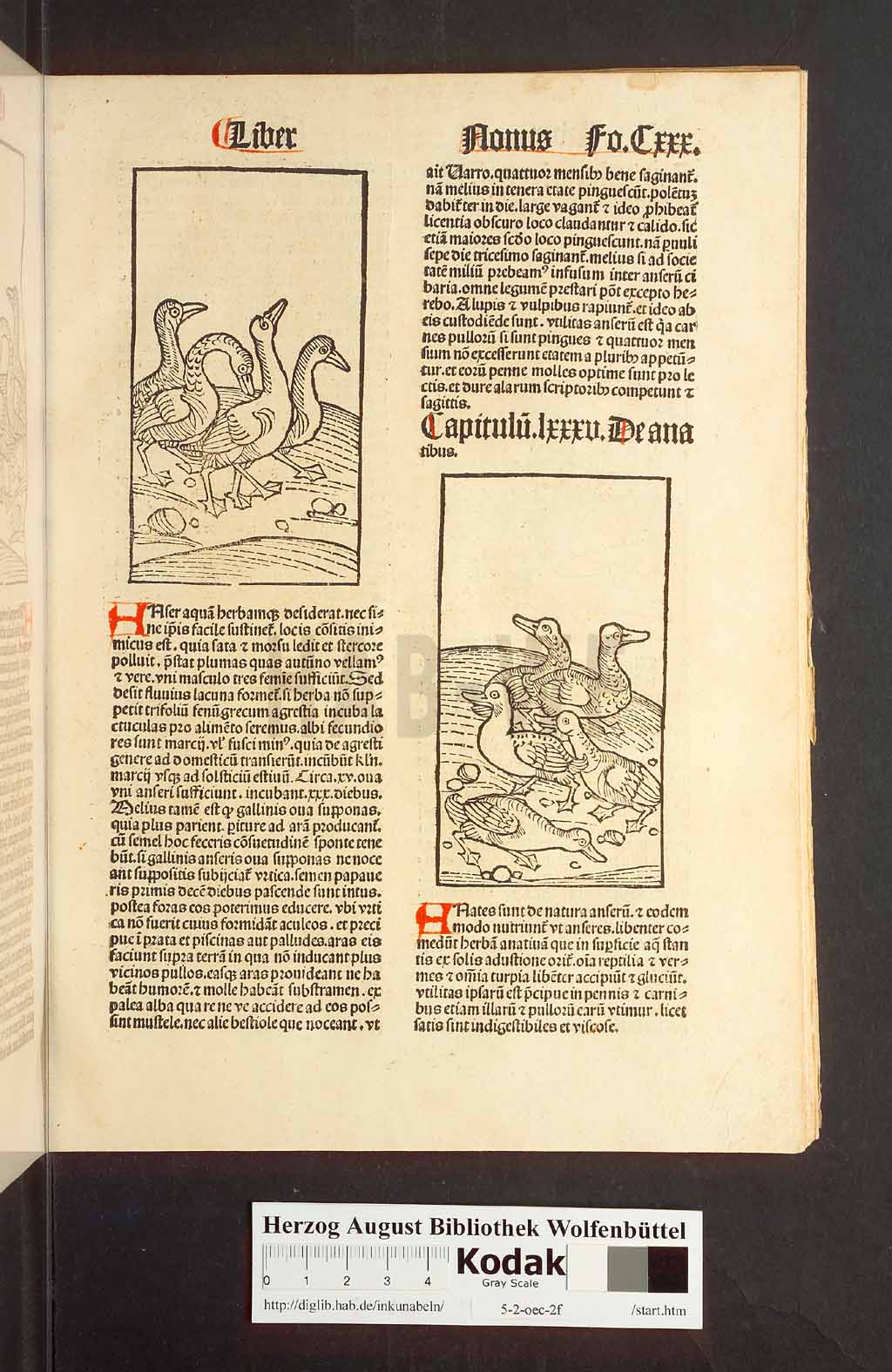 http://diglib.hab.de/inkunabeln/5-2-oec-2f/00263.jpg