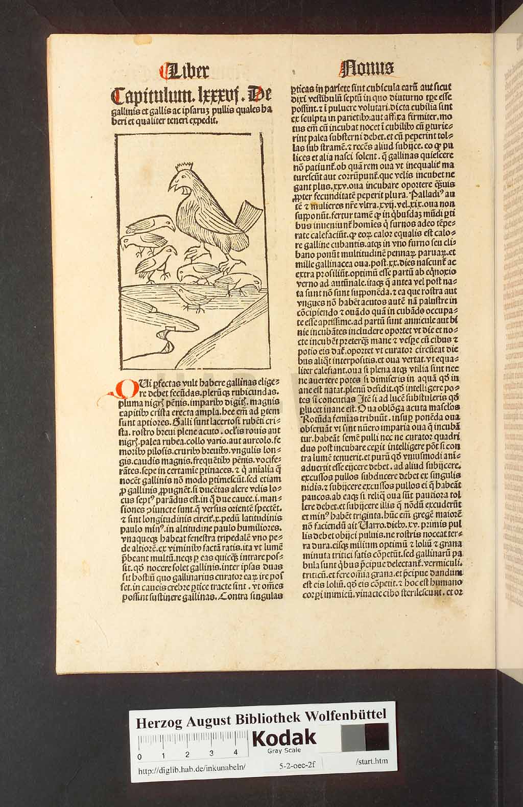 http://diglib.hab.de/inkunabeln/5-2-oec-2f/00264.jpg