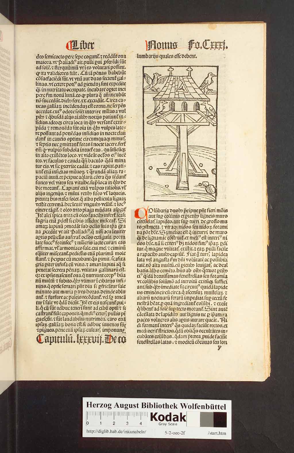 http://diglib.hab.de/inkunabeln/5-2-oec-2f/00265.jpg