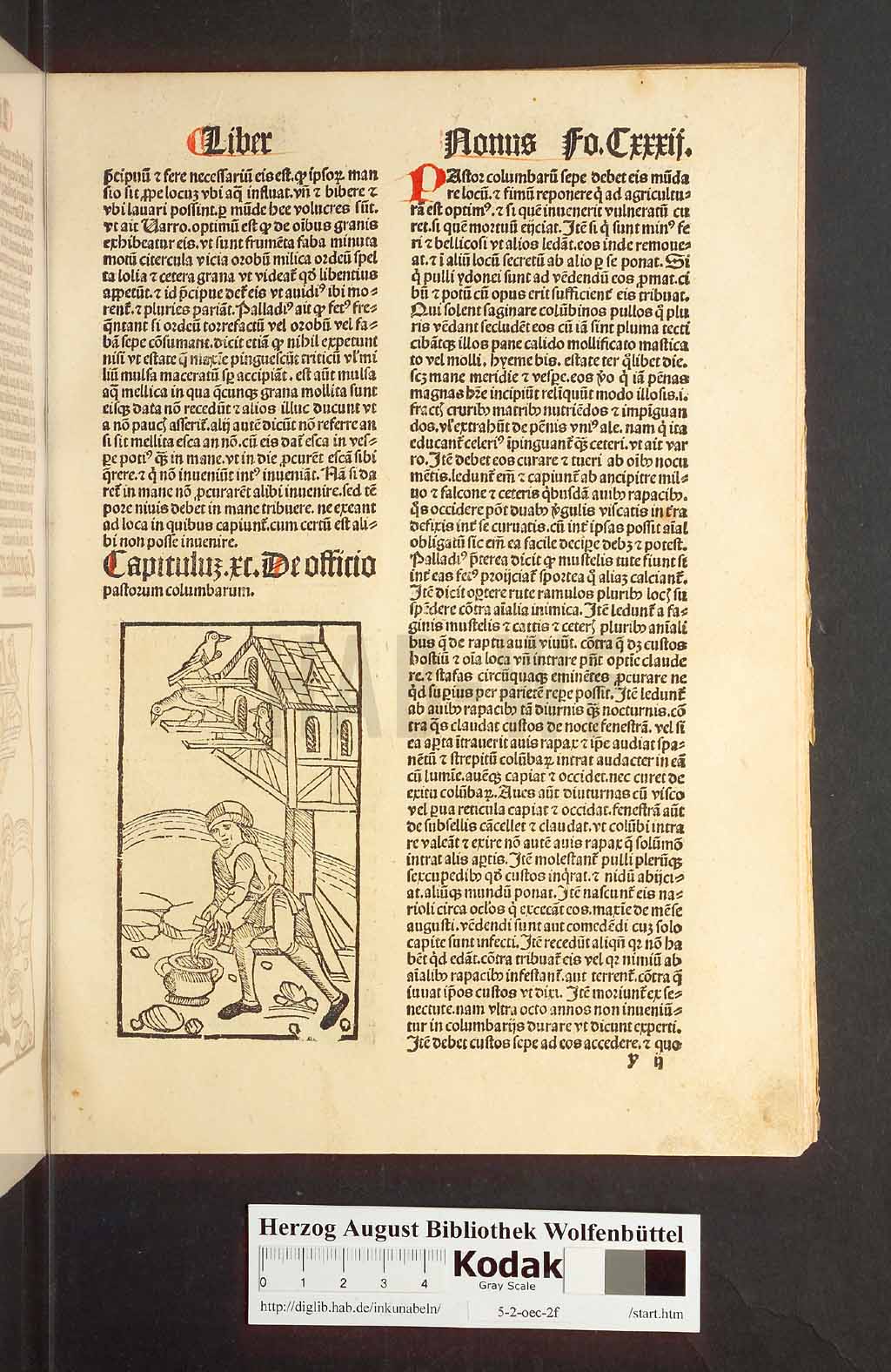 http://diglib.hab.de/inkunabeln/5-2-oec-2f/00267.jpg