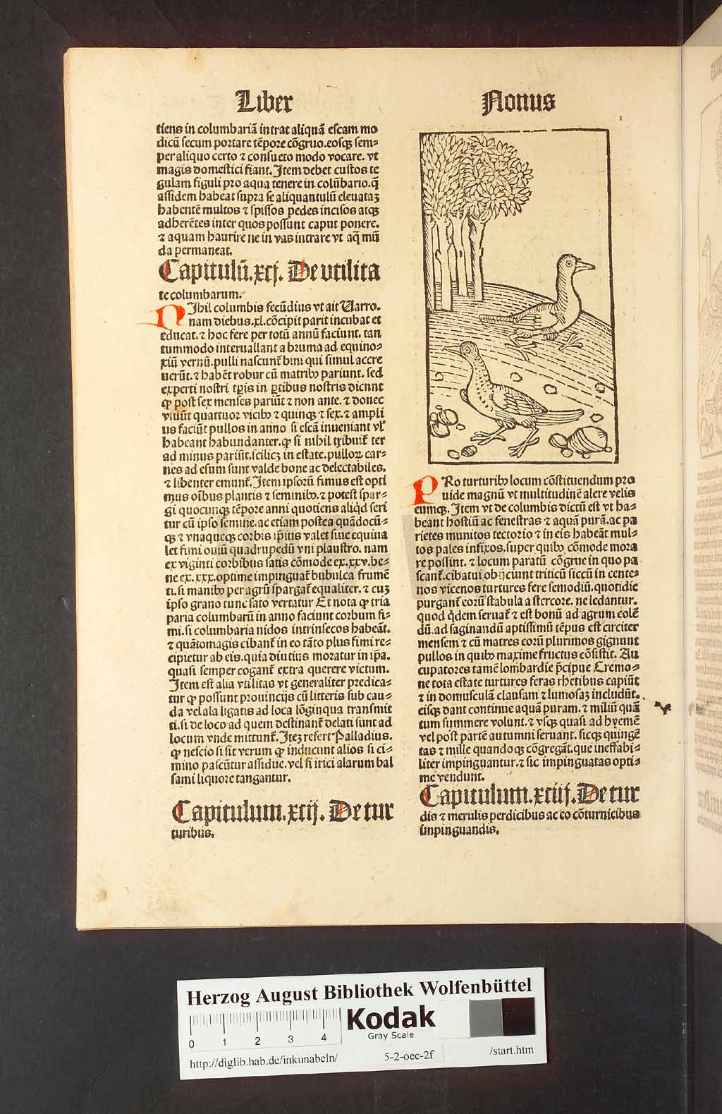 http://diglib.hab.de/inkunabeln/5-2-oec-2f/00268.jpg