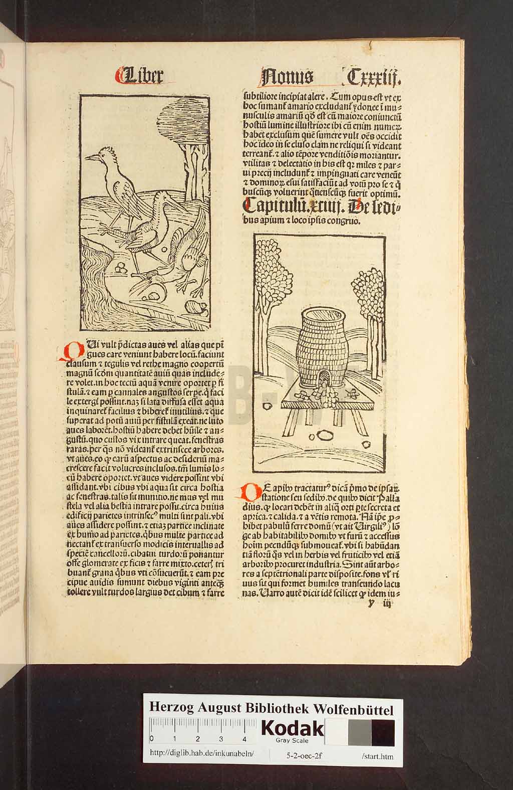 http://diglib.hab.de/inkunabeln/5-2-oec-2f/00269.jpg