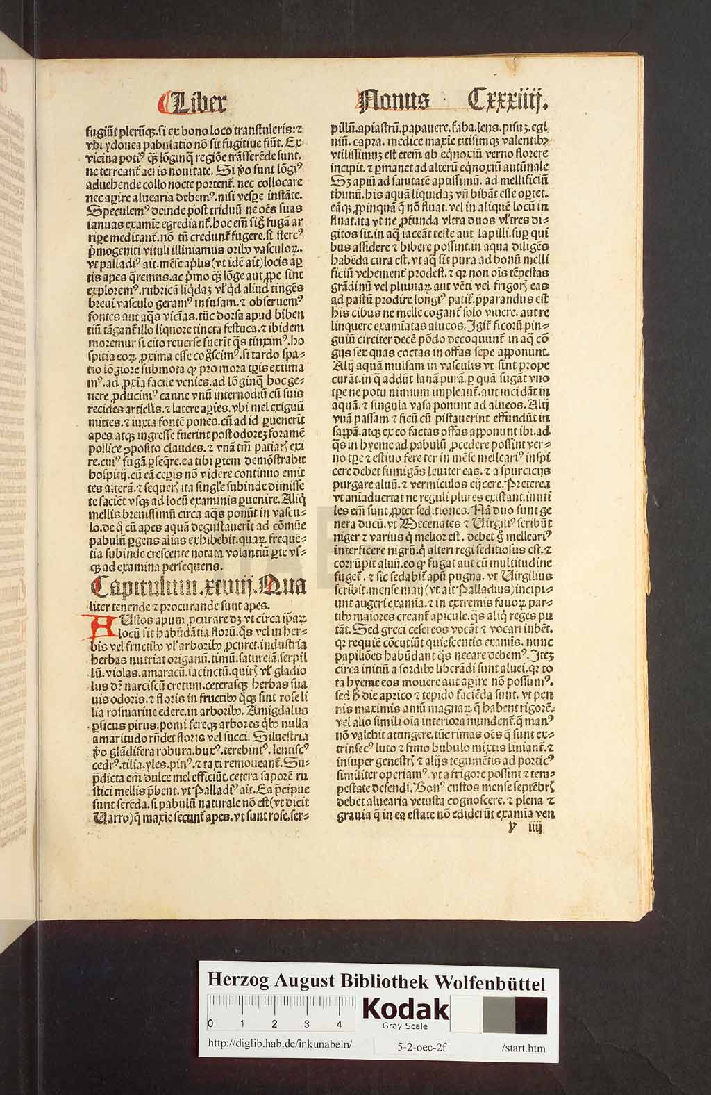 http://diglib.hab.de/inkunabeln/5-2-oec-2f/00271.jpg
