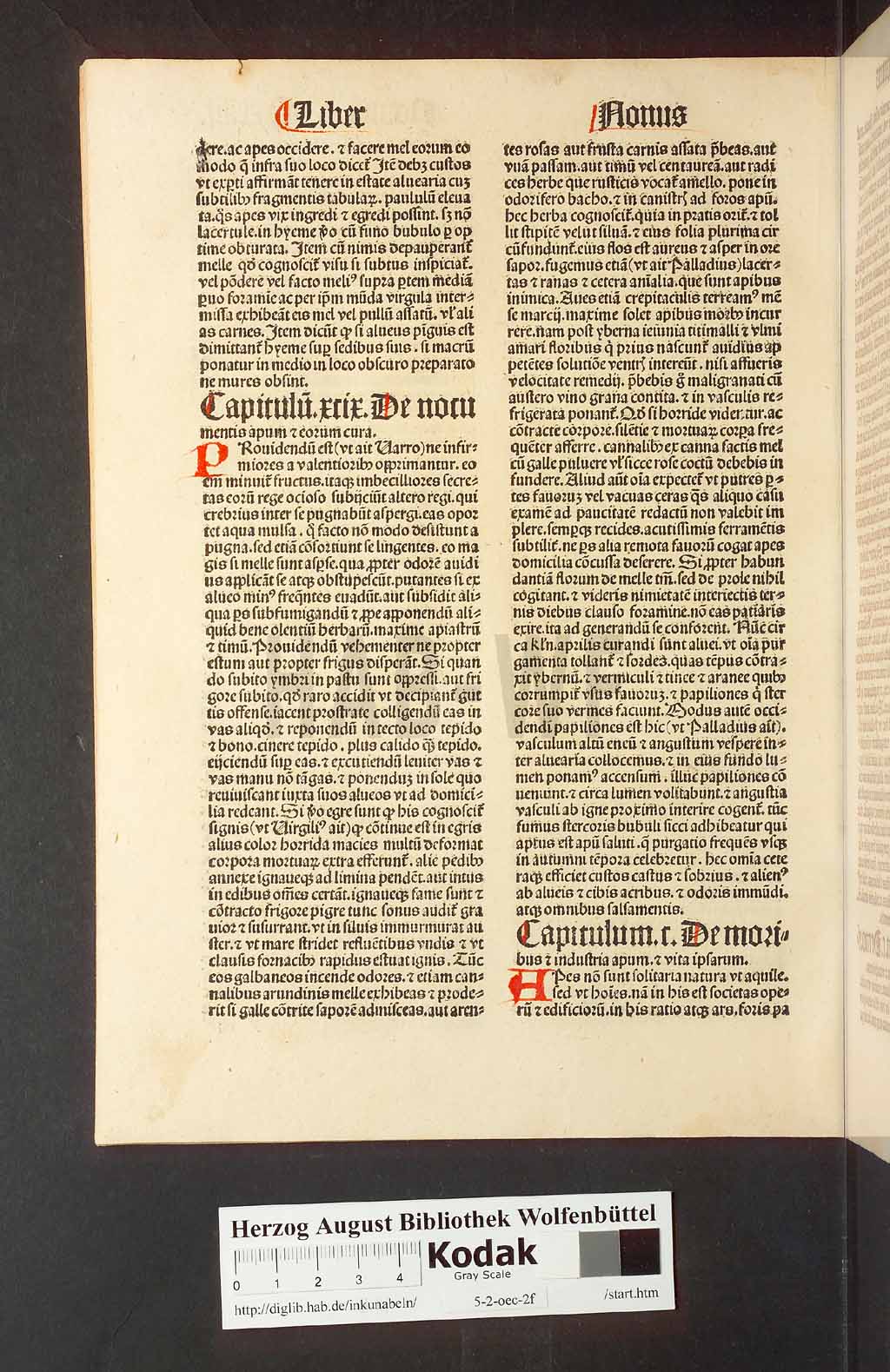 http://diglib.hab.de/inkunabeln/5-2-oec-2f/00272.jpg