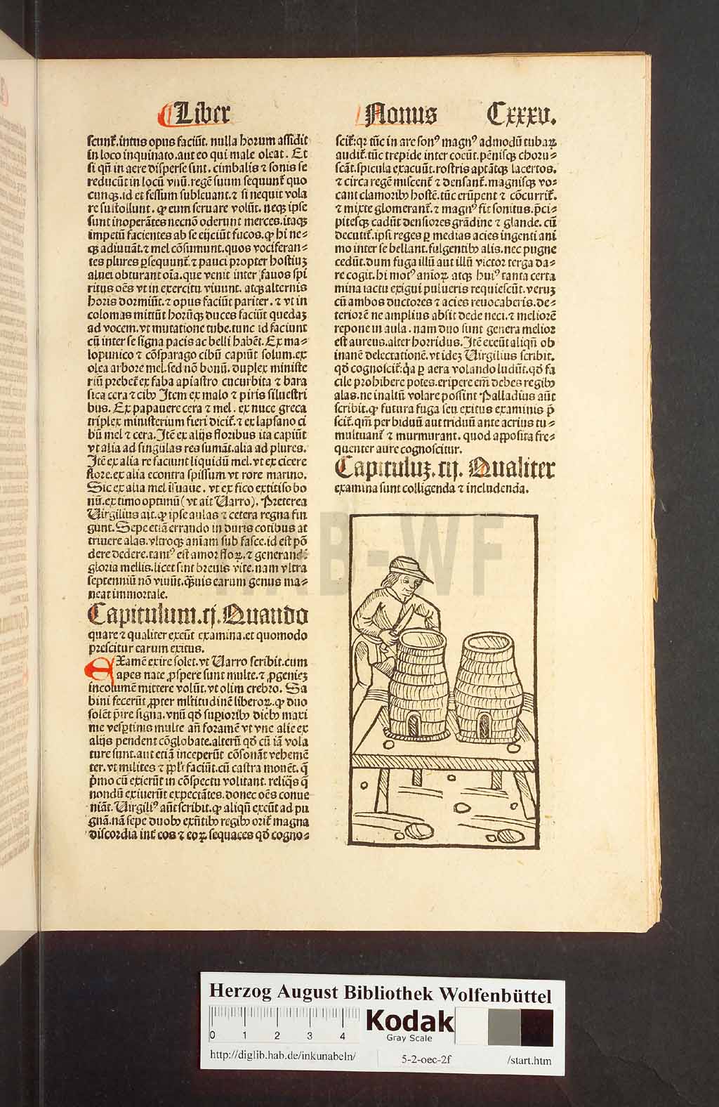 http://diglib.hab.de/inkunabeln/5-2-oec-2f/00273.jpg