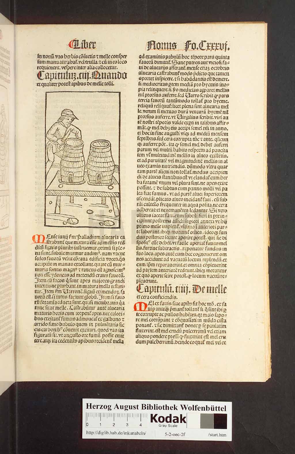 http://diglib.hab.de/inkunabeln/5-2-oec-2f/00275.jpg