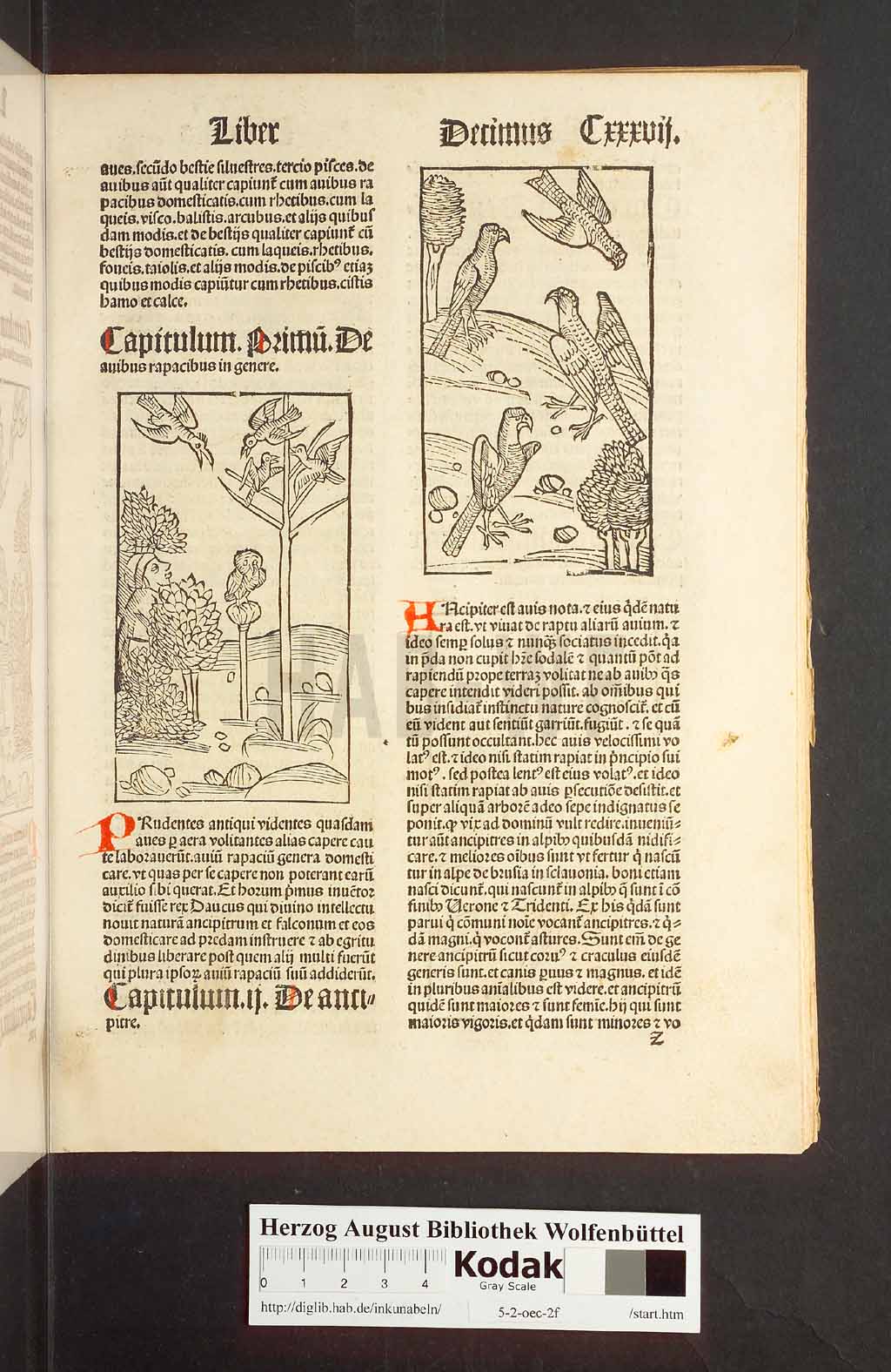 http://diglib.hab.de/inkunabeln/5-2-oec-2f/00277.jpg