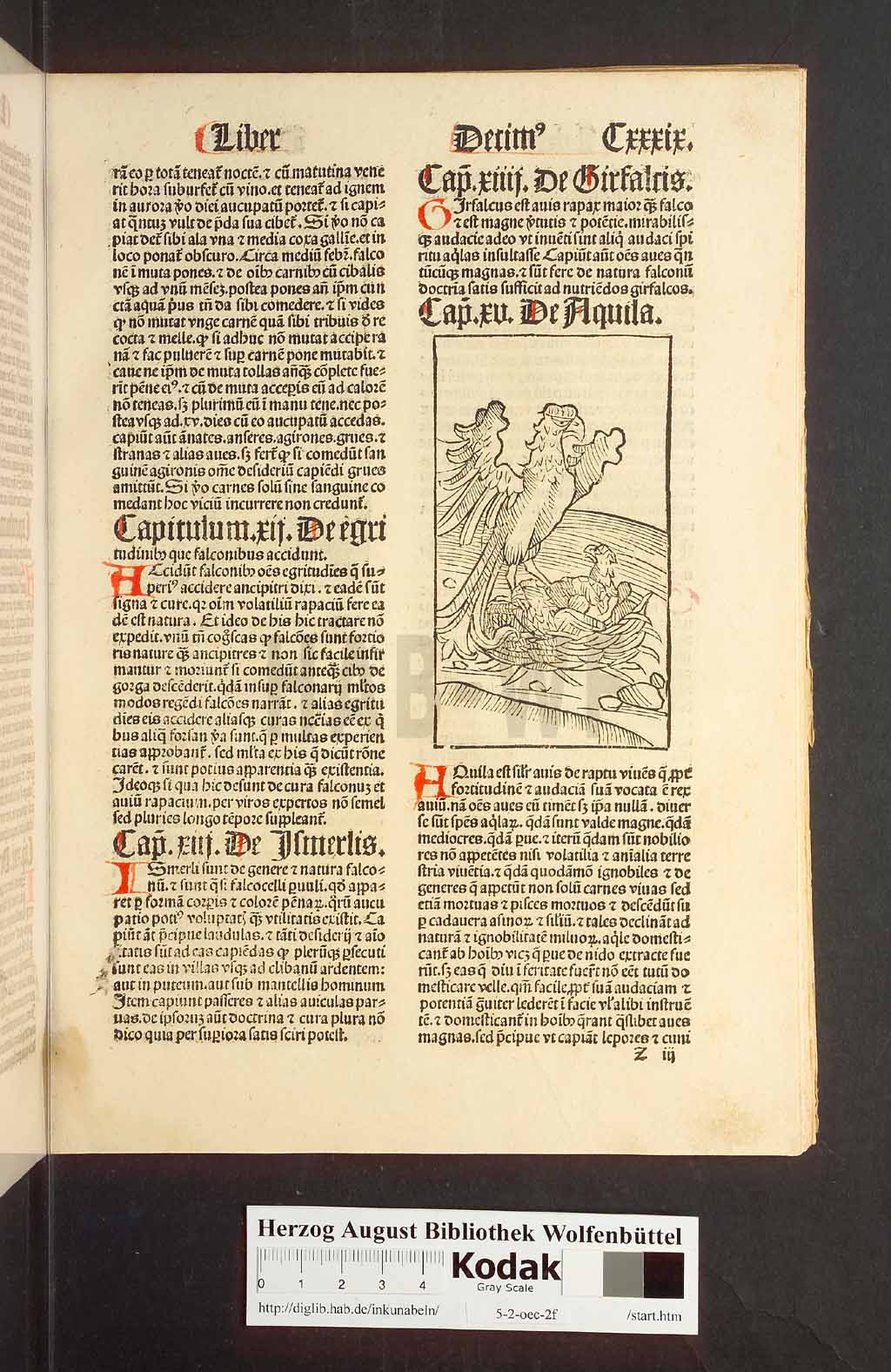 http://diglib.hab.de/inkunabeln/5-2-oec-2f/00281.jpg