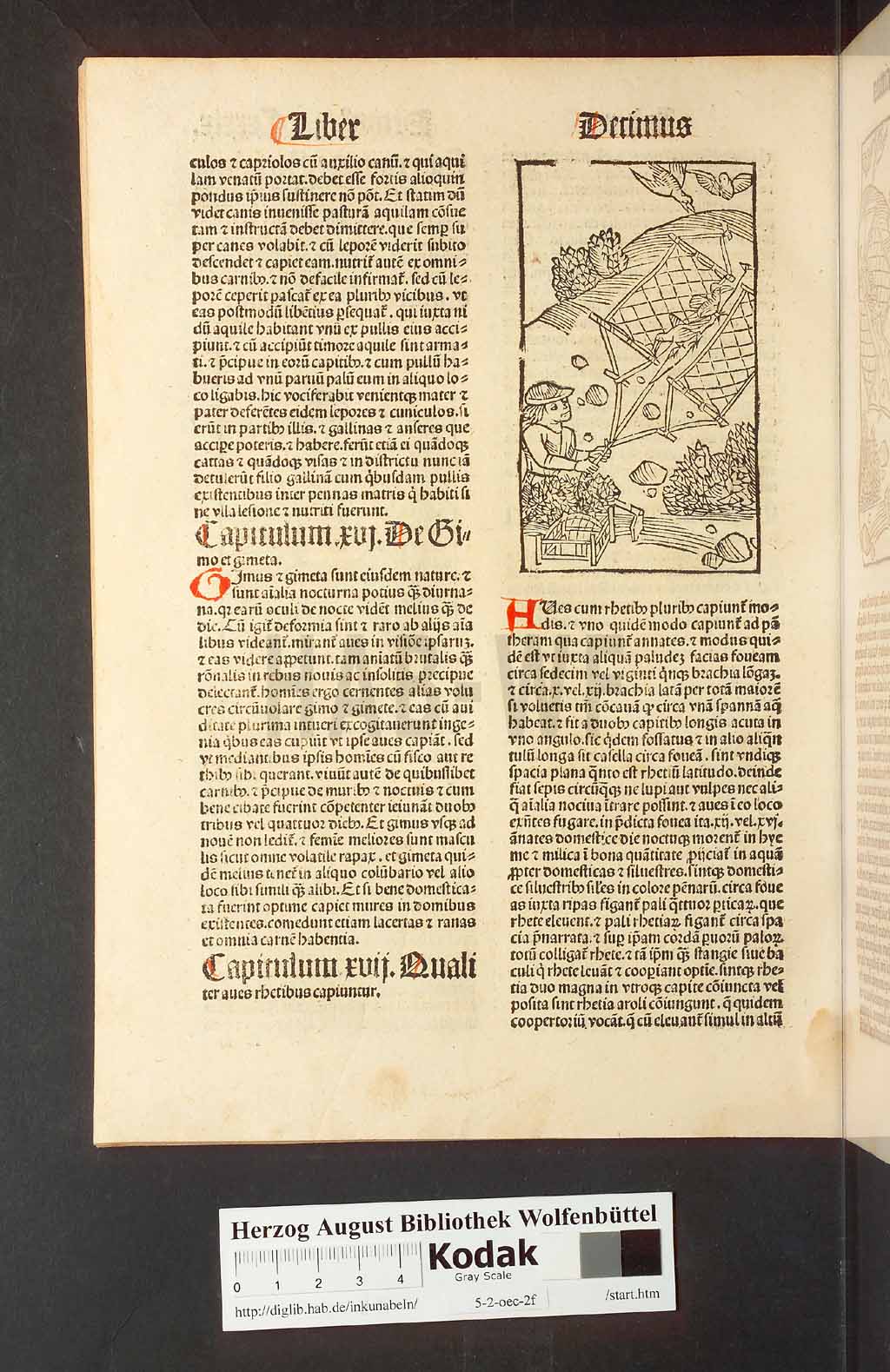 http://diglib.hab.de/inkunabeln/5-2-oec-2f/00282.jpg
