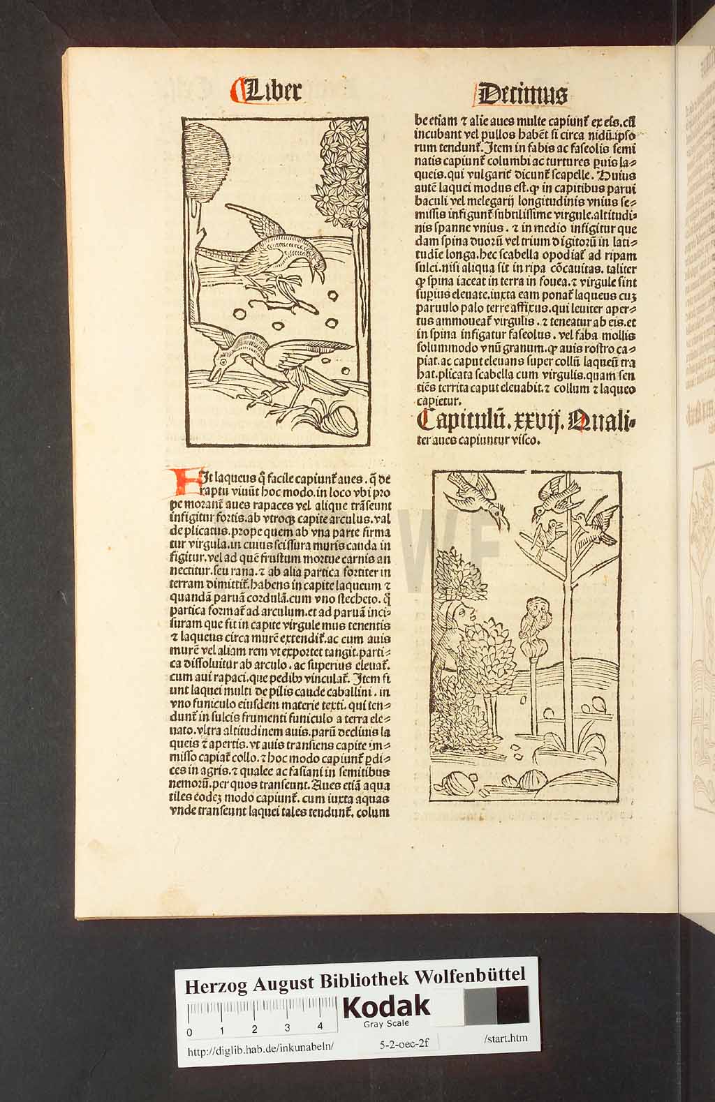 http://diglib.hab.de/inkunabeln/5-2-oec-2f/00286.jpg