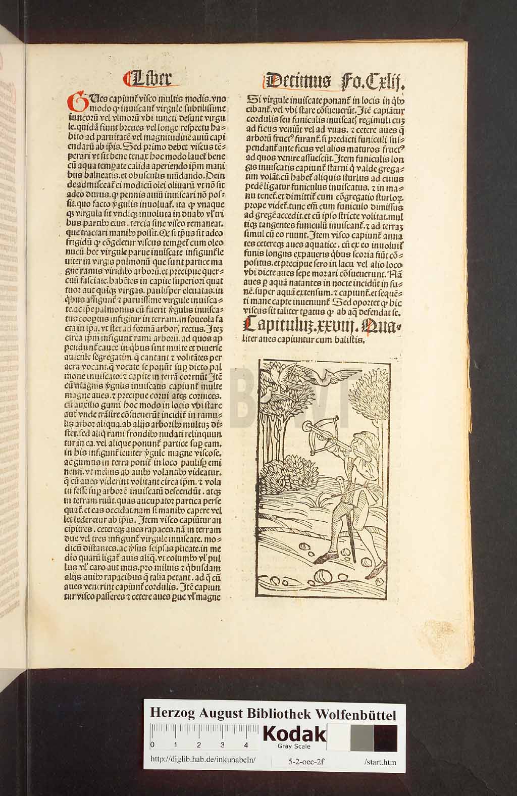 http://diglib.hab.de/inkunabeln/5-2-oec-2f/00287.jpg
