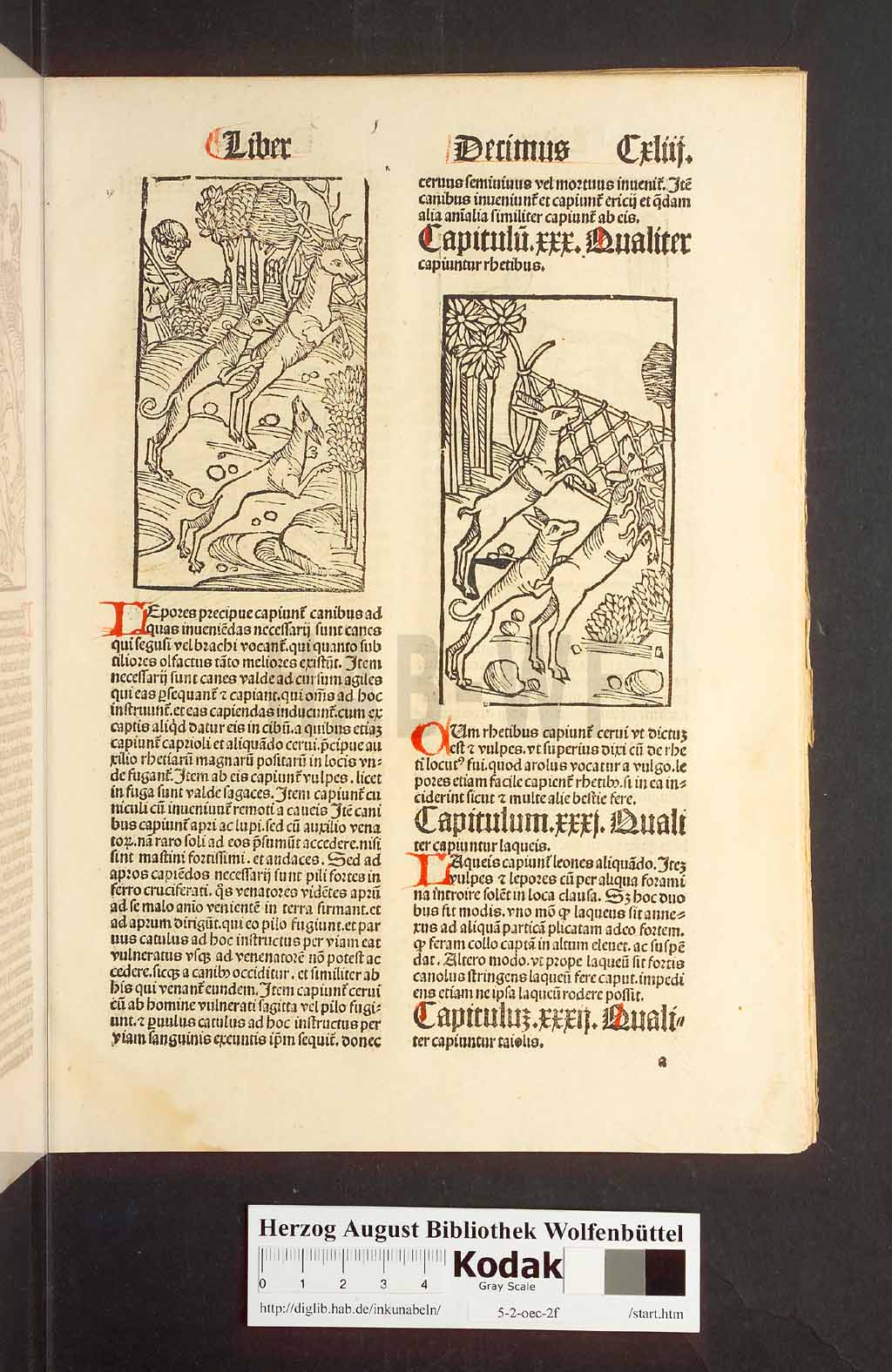 http://diglib.hab.de/inkunabeln/5-2-oec-2f/00289.jpg