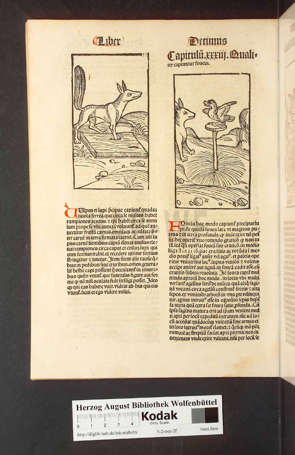 http://diglib.hab.de/inkunabeln/5-2-oec-2f/00290.jpg