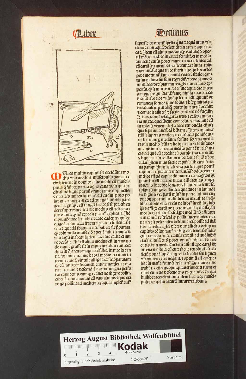 http://diglib.hab.de/inkunabeln/5-2-oec-2f/00292.jpg