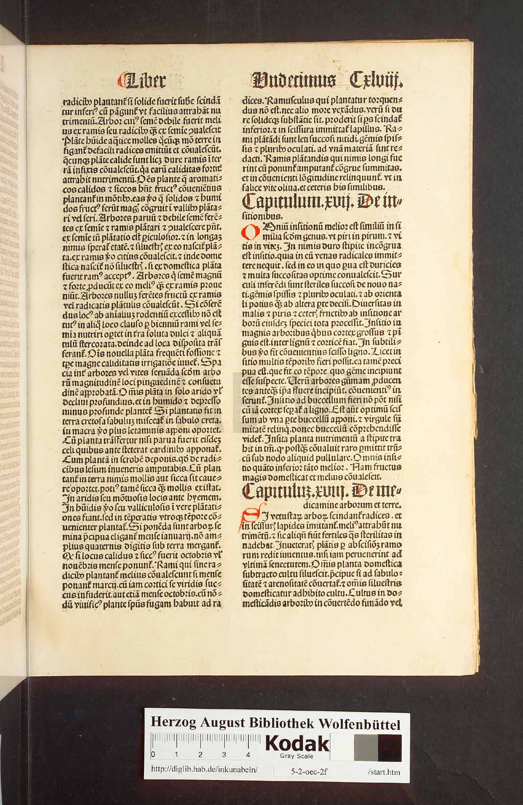 http://diglib.hab.de/inkunabeln/5-2-oec-2f/00299.jpg