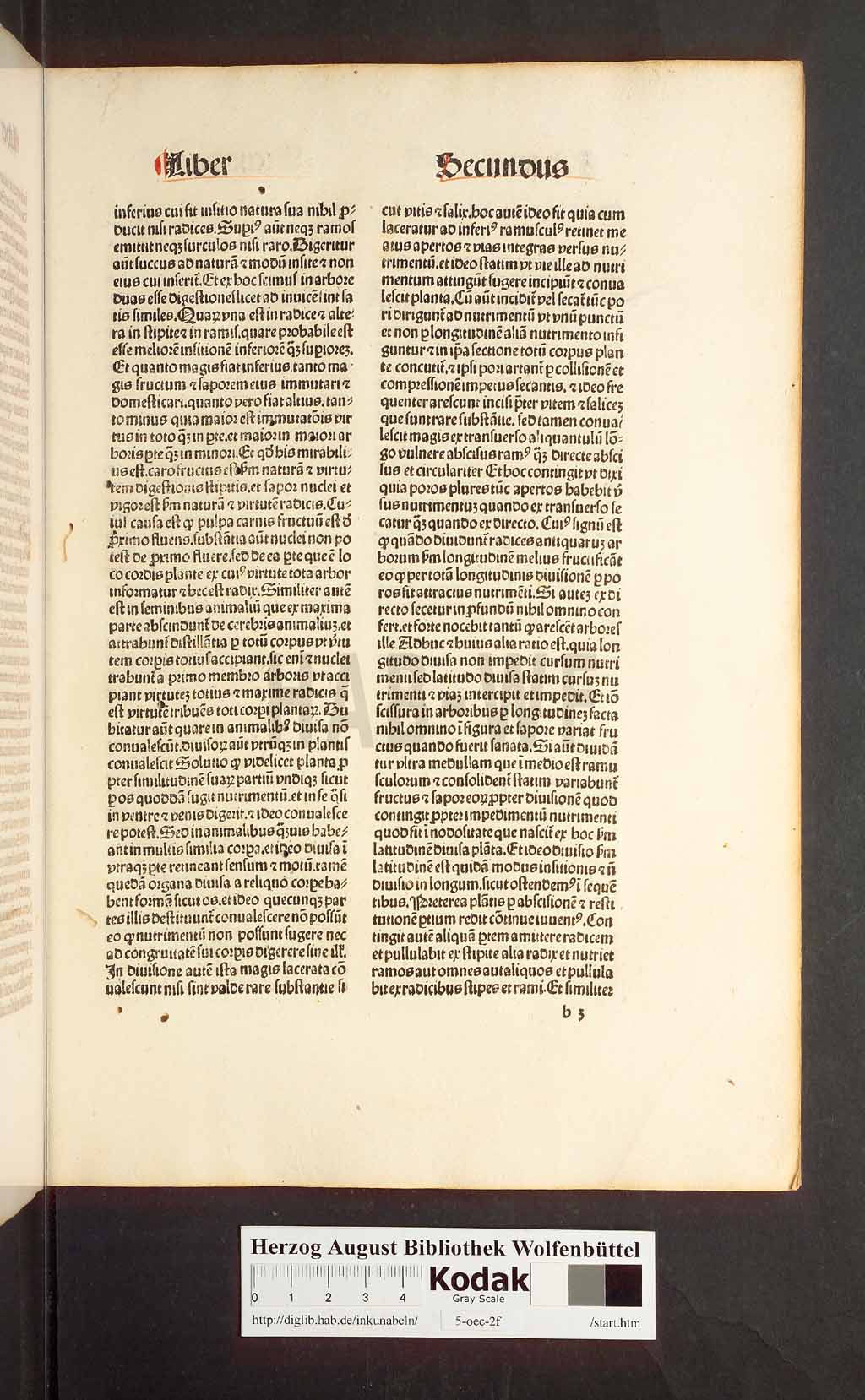 http://diglib.hab.de/inkunabeln/5-oec-2f/00035.jpg