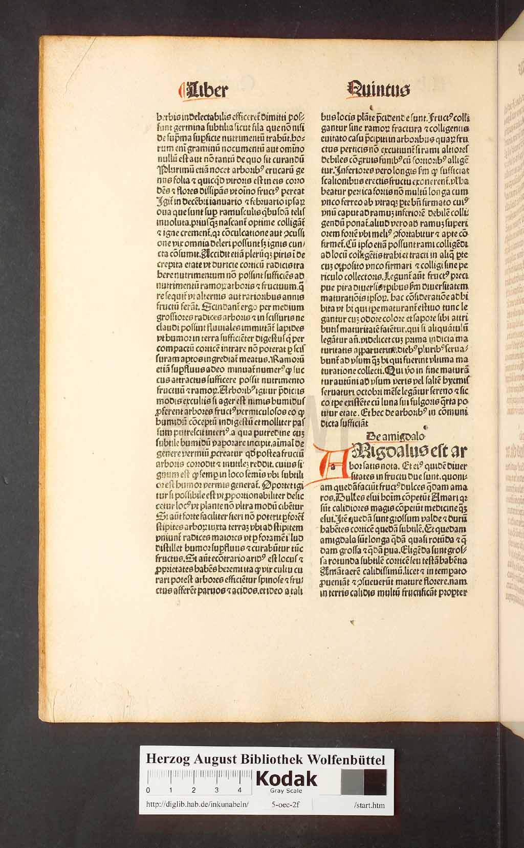 http://diglib.hab.de/inkunabeln/5-oec-2f/00116.jpg