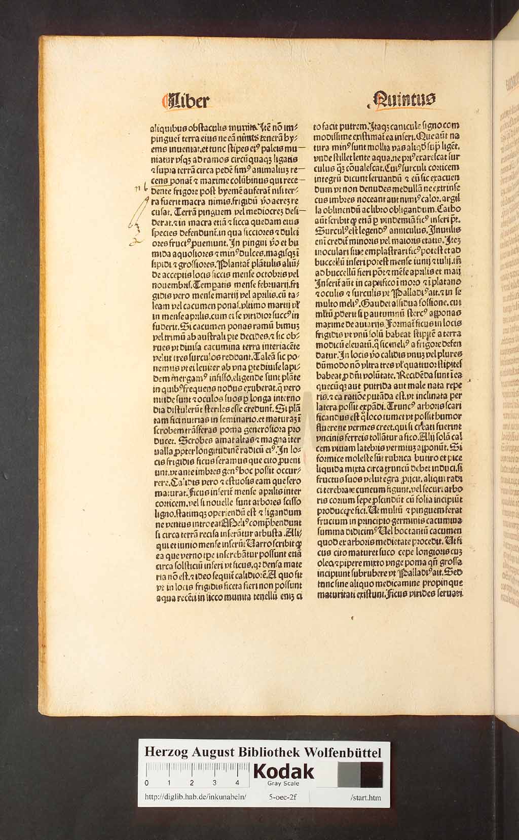 http://diglib.hab.de/inkunabeln/5-oec-2f/00124.jpg