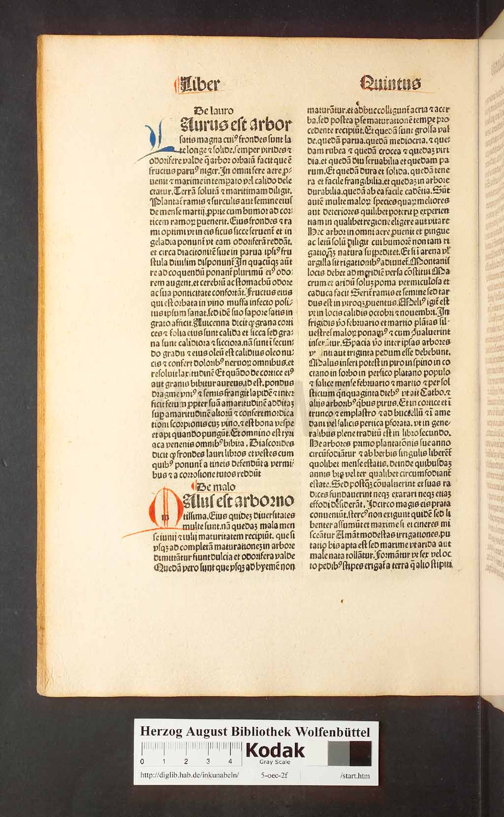 http://diglib.hab.de/inkunabeln/5-oec-2f/00126.jpg