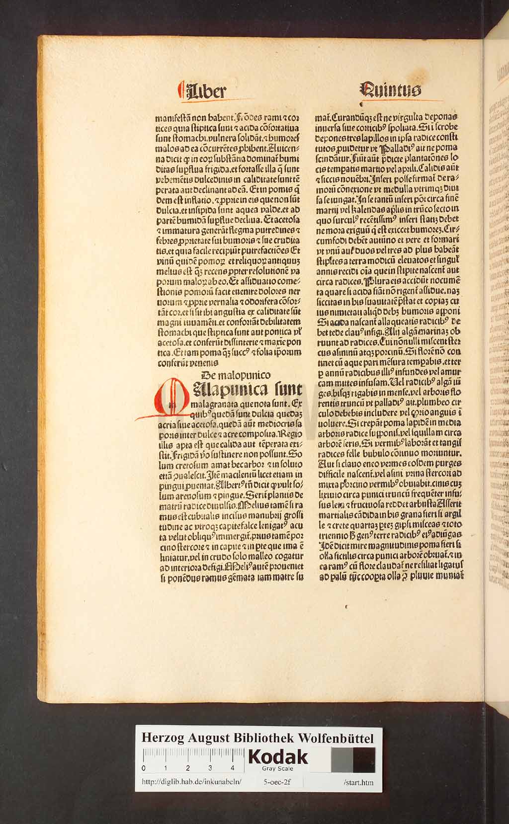 http://diglib.hab.de/inkunabeln/5-oec-2f/00128.jpg