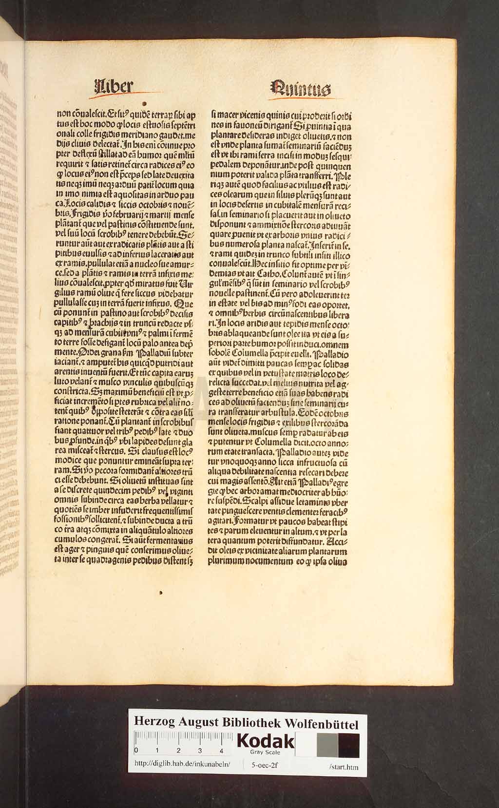 http://diglib.hab.de/inkunabeln/5-oec-2f/00135.jpg
