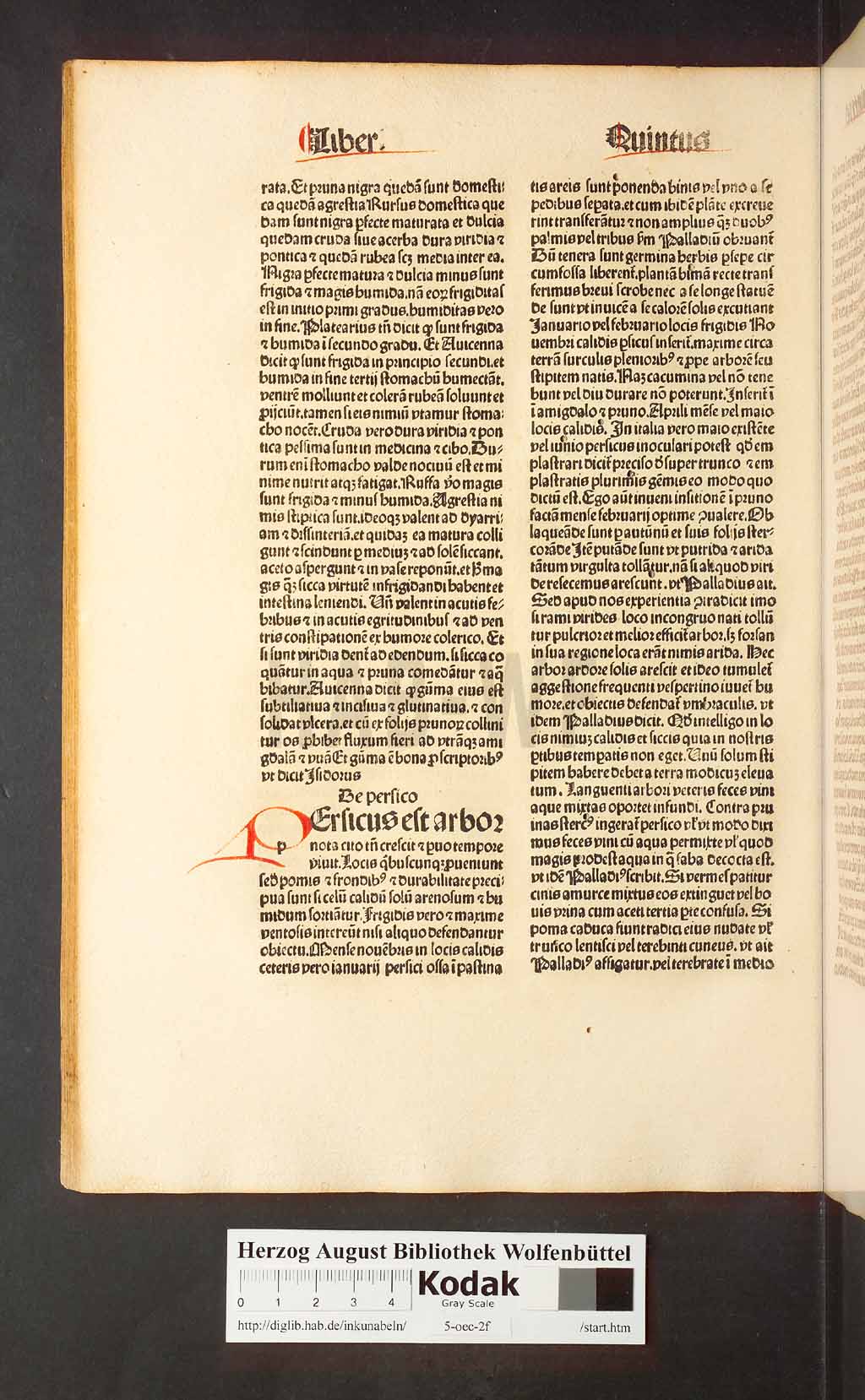 http://diglib.hab.de/inkunabeln/5-oec-2f/00140.jpg