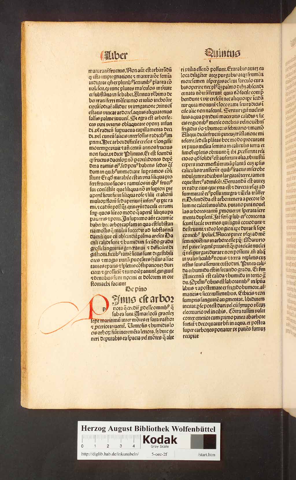 http://diglib.hab.de/inkunabeln/5-oec-2f/00142.jpg
