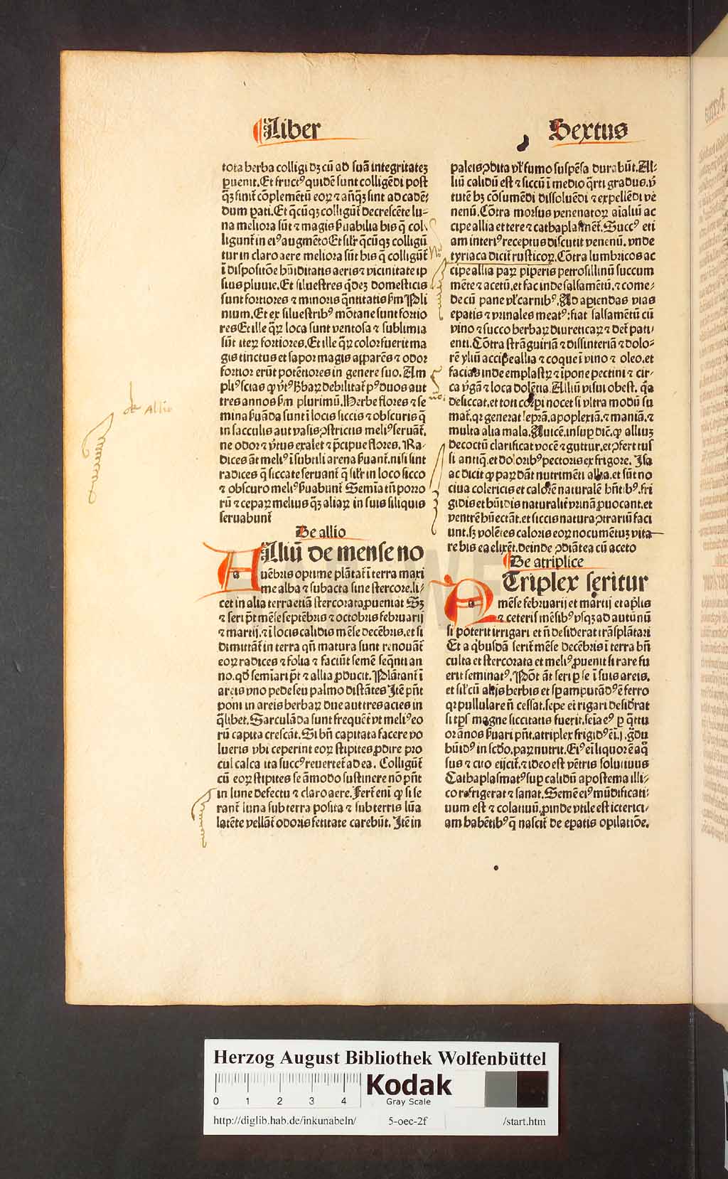http://diglib.hab.de/inkunabeln/5-oec-2f/00158.jpg