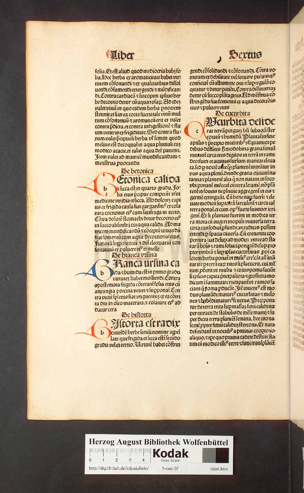 http://diglib.hab.de/inkunabeln/5-oec-2f/00162.jpg