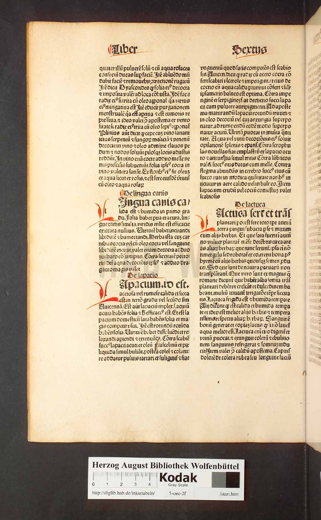 http://diglib.hab.de/inkunabeln/5-oec-2f/00176.jpg