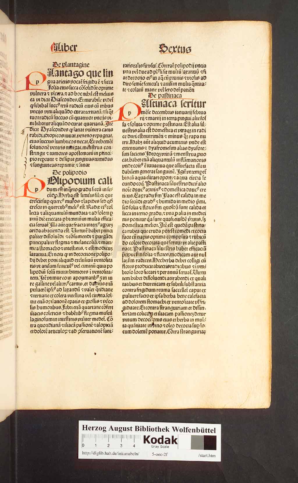 http://diglib.hab.de/inkunabeln/5-oec-2f/00185.jpg