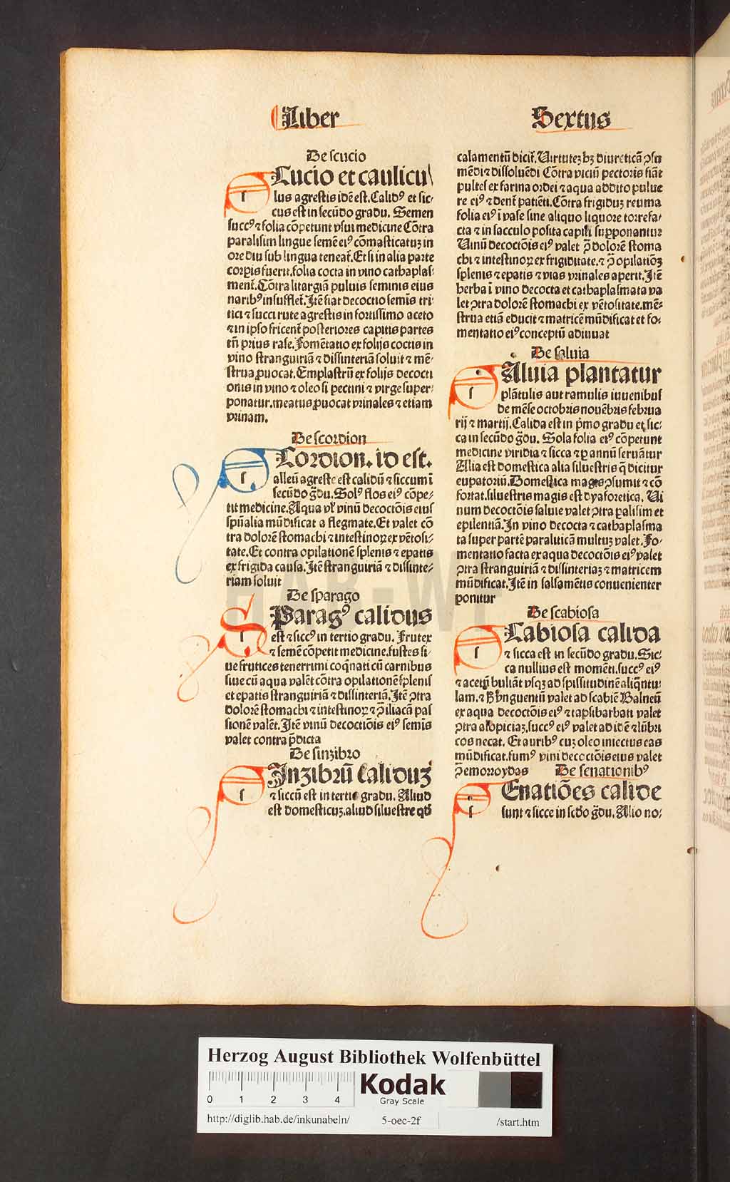 http://diglib.hab.de/inkunabeln/5-oec-2f/00192.jpg