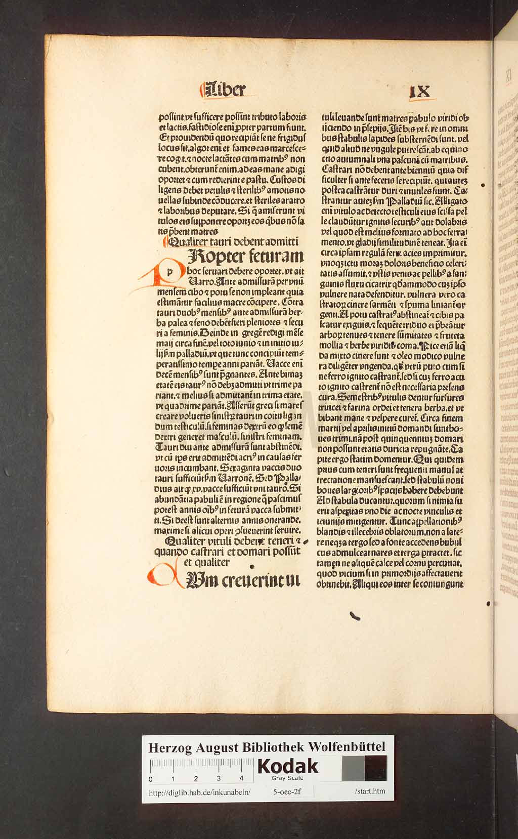 http://diglib.hab.de/inkunabeln/5-oec-2f/00232.jpg