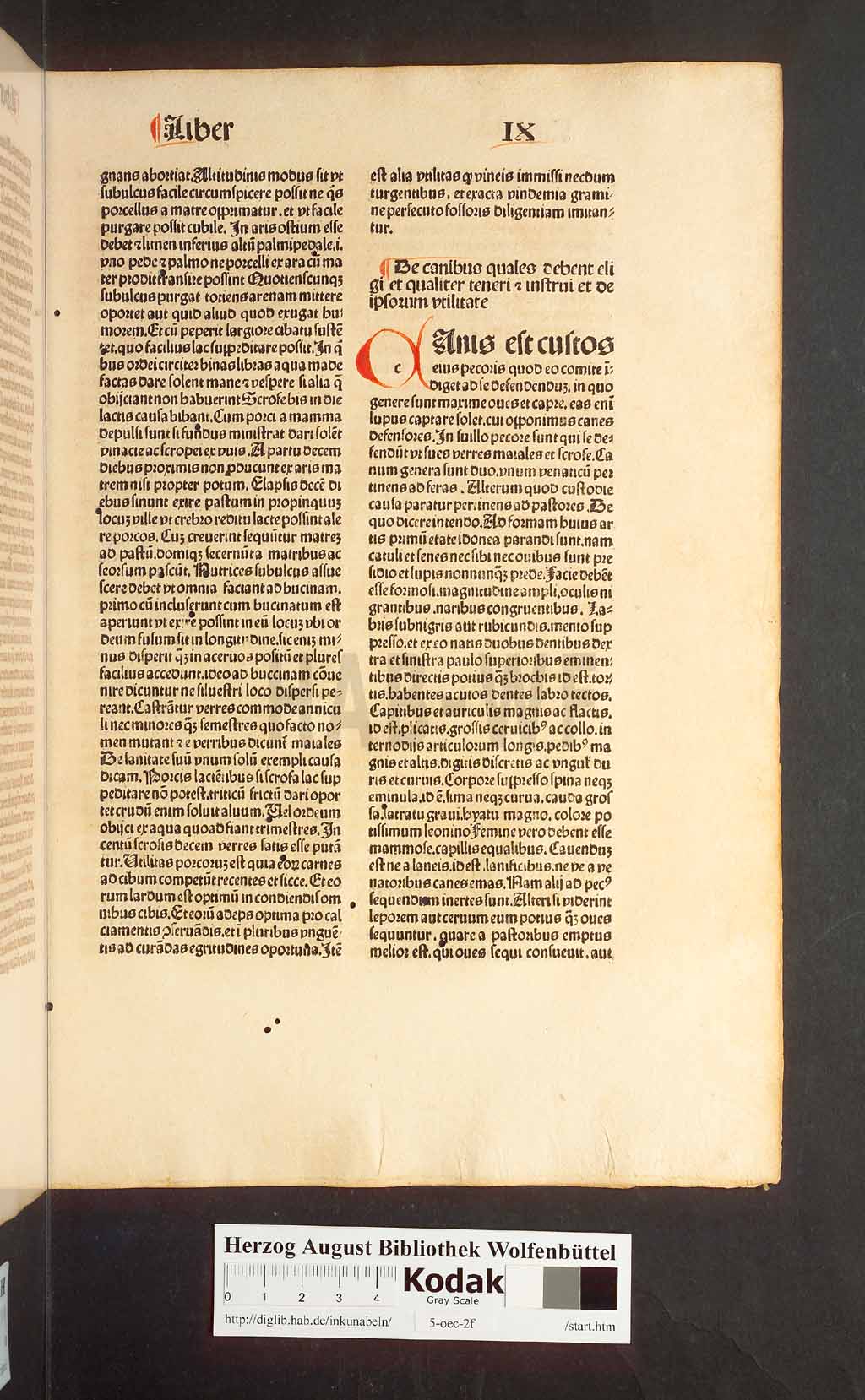 http://diglib.hab.de/inkunabeln/5-oec-2f/00241.jpg