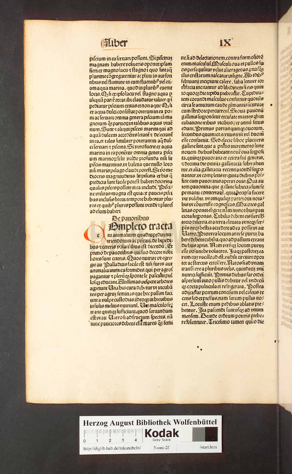 http://diglib.hab.de/inkunabeln/5-oec-2f/00244.jpg