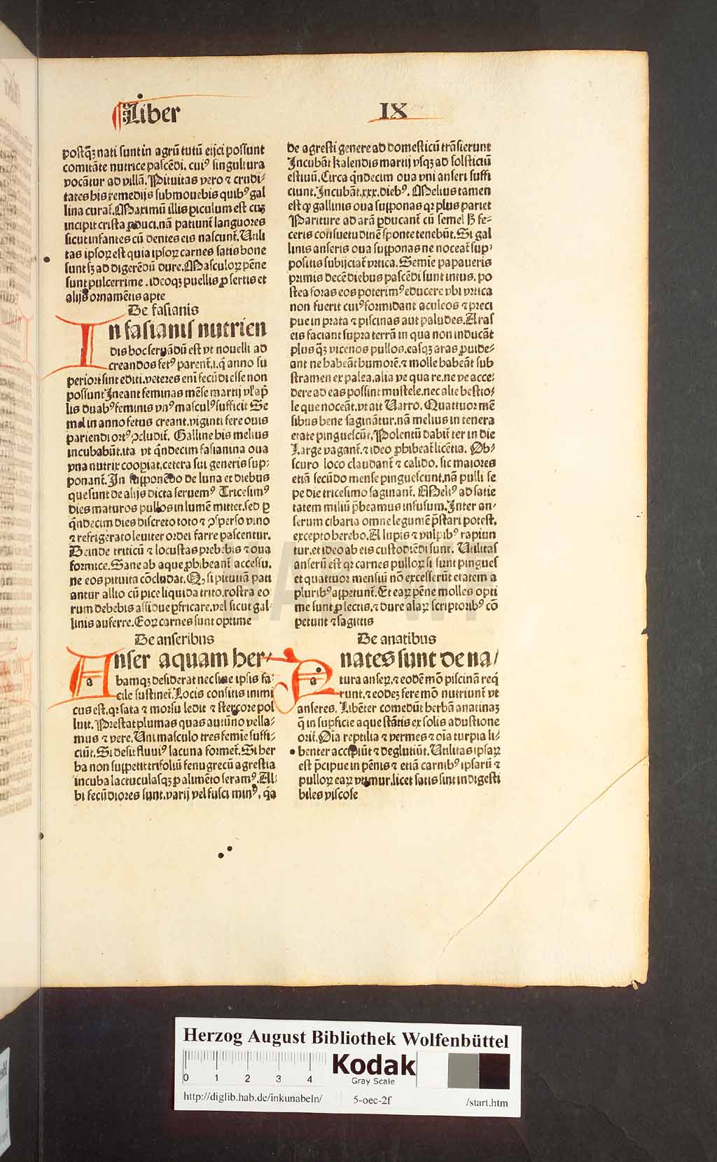 http://diglib.hab.de/inkunabeln/5-oec-2f/00245.jpg
