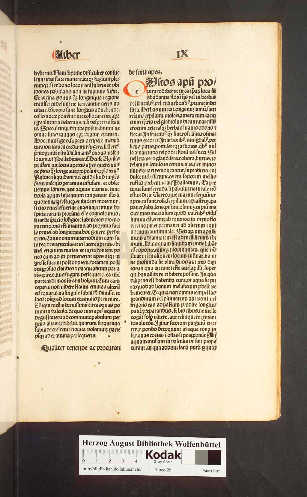 http://diglib.hab.de/inkunabeln/5-oec-2f/00253.jpg