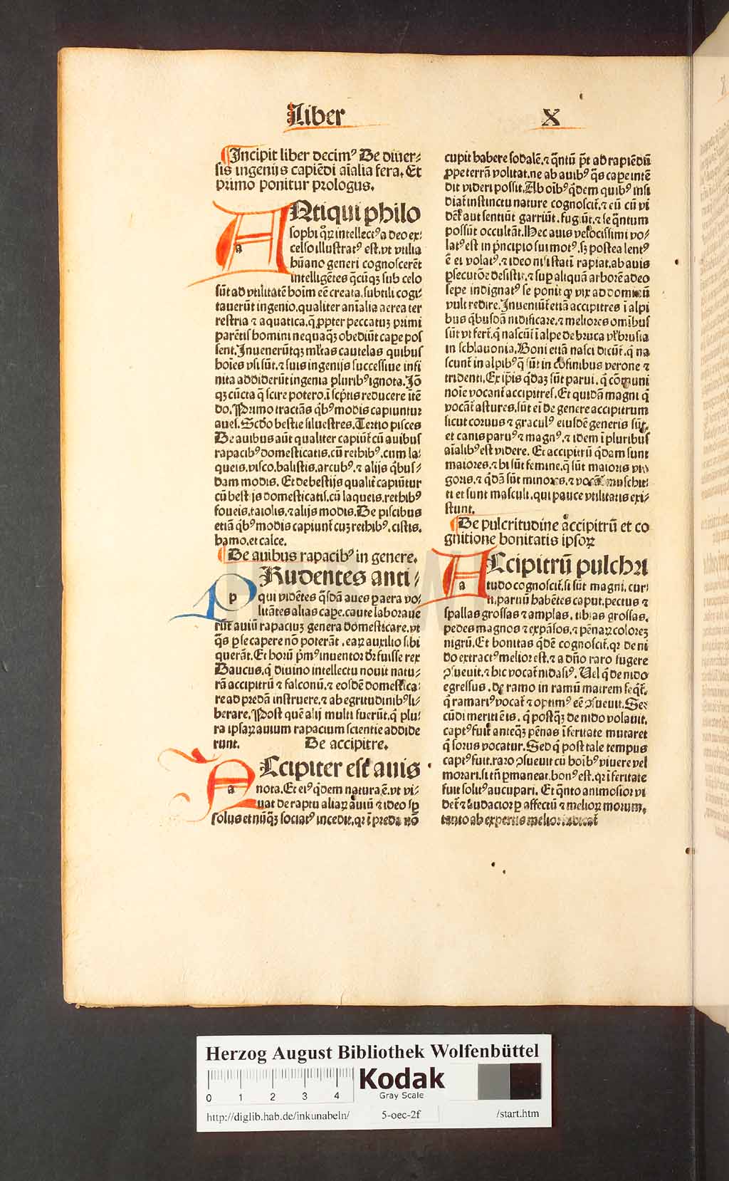 http://diglib.hab.de/inkunabeln/5-oec-2f/00260.jpg
